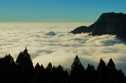 臺(tái)灣阿里山圖片圖片